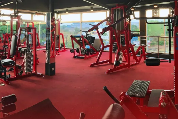 gym wanita malang - Apocalypse gym