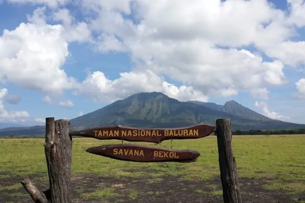 wisata situbondo - Taman Nasional Baluran
