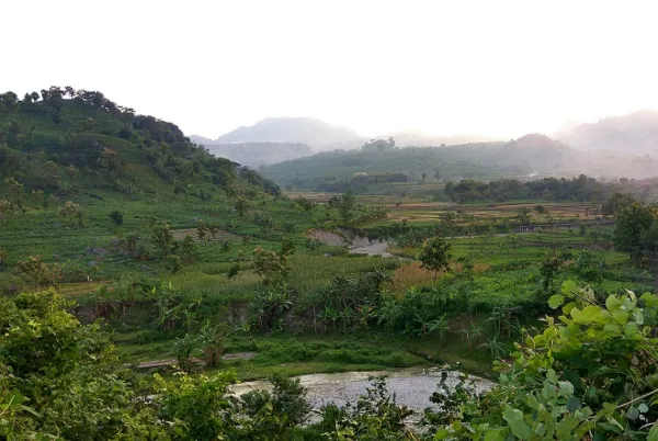 Wisata Bojonegoro - Bukit Tono