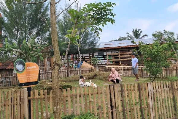 Harga Tiket Masuk Alas Pitu Baturaden