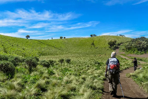 Jalur pendakian Gunung Merbabu