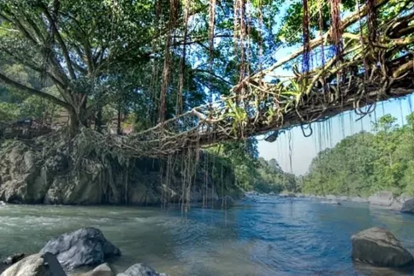 Jembatan Akar Santoaan 