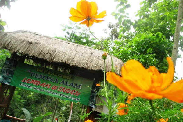 Lembah Widnen - Wisata Wonosalam