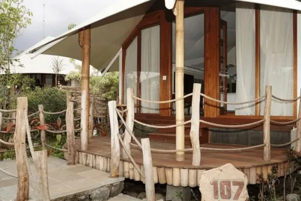 Glamping Batu - Oak Tree Glamping Resort Batu