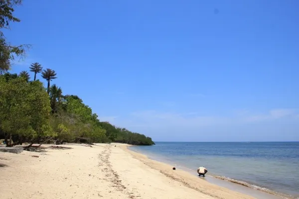 wisata situbondo pantai bama