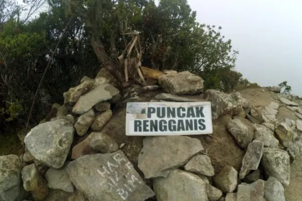 wisata situbondo - puncak rengganis argopuro