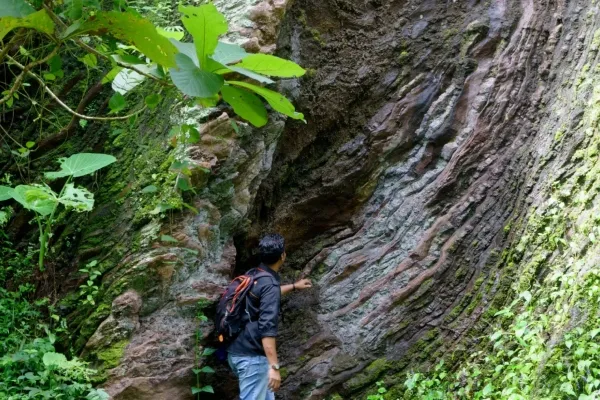 Puncak Wagir Sambeng