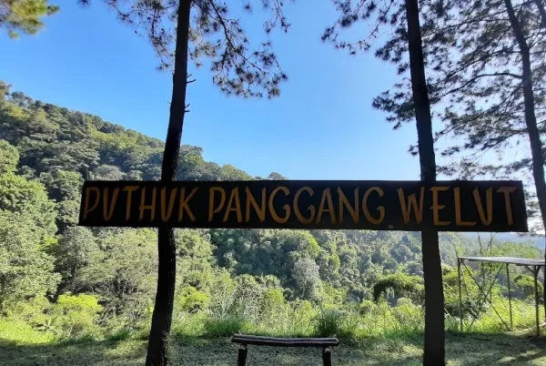 Puthuk Penggang Welut