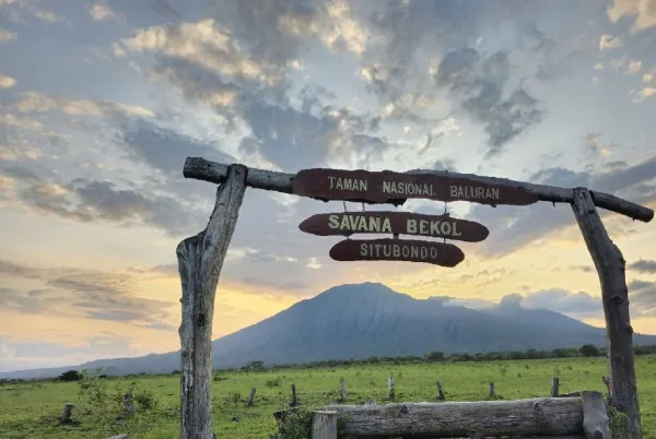 Taman Nasional Baluran