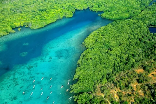 Taman Nasional Karimunjawa