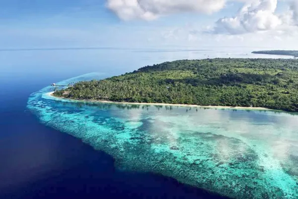 Taman Nasional Wakatobi - Wisata Bahari Sulawesi Tenggara