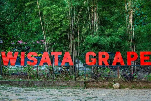 Wana Wisata Grape