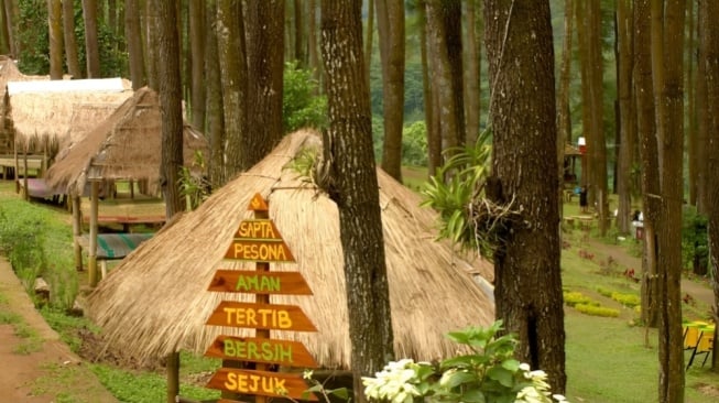 Hutan pinus nongko ijo madiun  Madiun