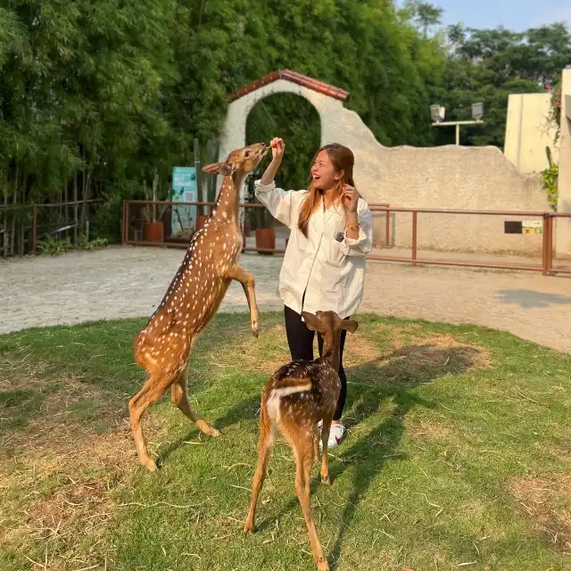 Teepee Barn Scientia Squere Park